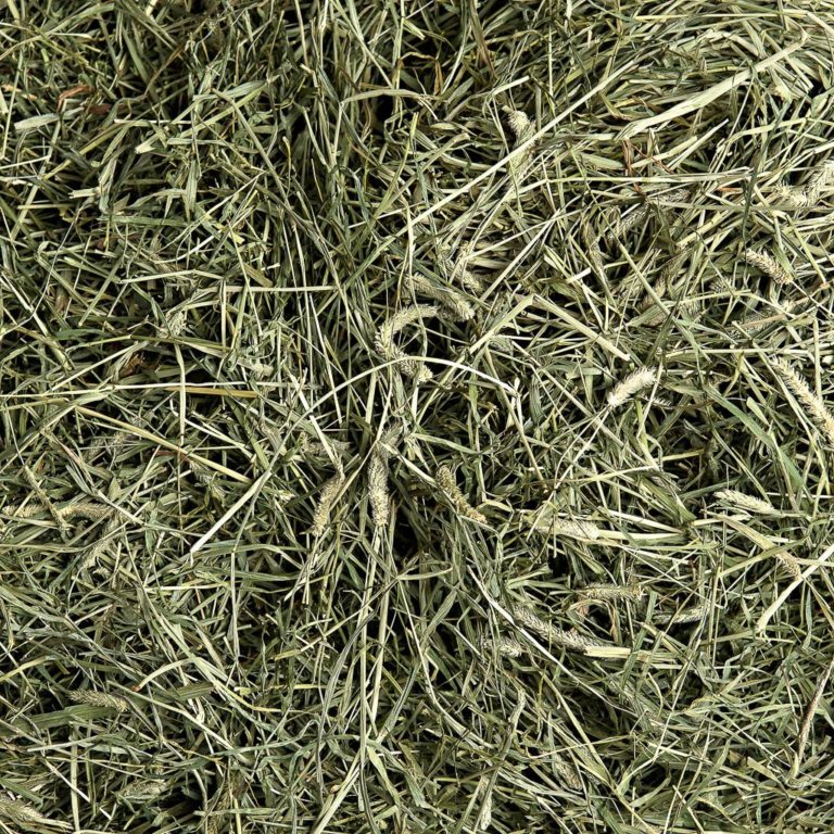 Timothy Hay For Sale | Timothy Hay For Horses | Buy Timothy Hay Online