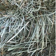 horse hay for sale