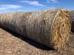Sudan Grass Hay For Sale