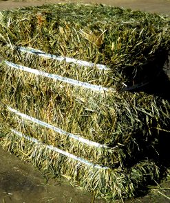hay for sale near me